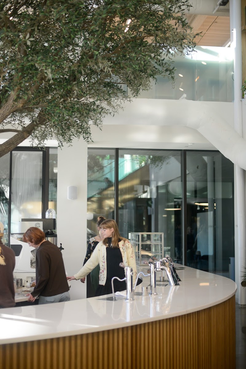 Airship Coffee at The Ledger Exterior Photo - Airship Coffee at The Ledger Cafe in Bentonville, AR