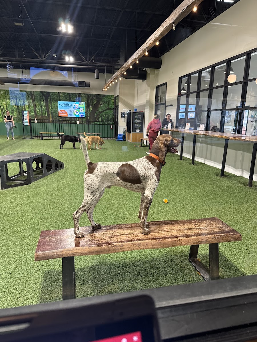 Brew Park Plymouth Food Photo - Brew Park Plymouth Bars in Plymouth, MN