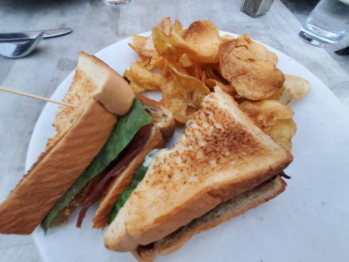 Cheers at the OPO Food Photo - Cheers at the OPO Restaurant in Fayetteville, AR