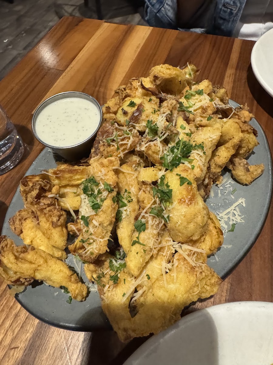 Cheers at the OPO Food Photo - Cheers at the OPO Restaurant in Fayetteville, AR