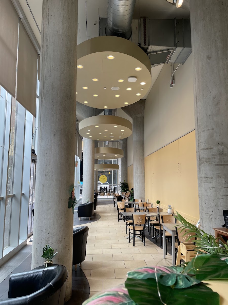 Mocha Momma's Coffee Interior Photo - Mocha Momma's Coffee Cafe in Minneapolis, MN