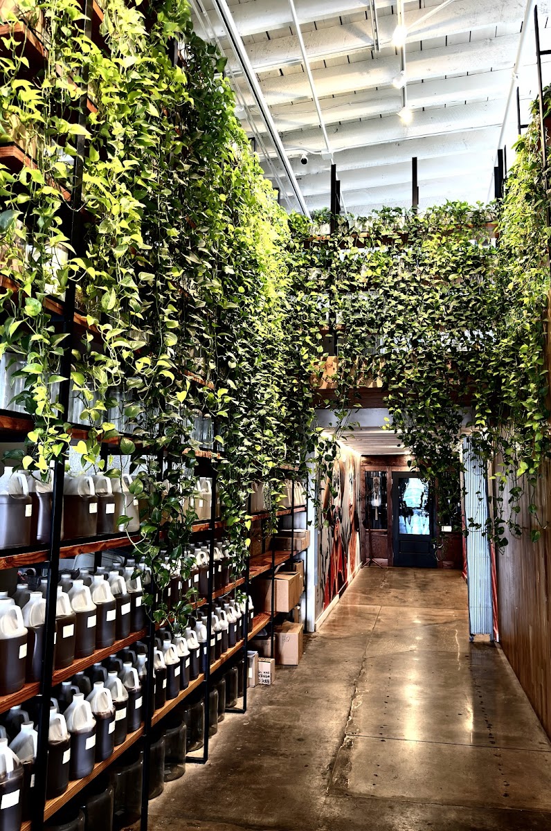 Onyx Coffee Lab - Rogers HQ Interior Photo - Onyx Coffee Lab - Rogers HQ Cafe in Rogers, AR