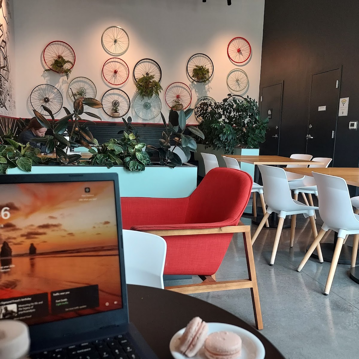 Red Kite Coffee Company Interior Photo - Red Kite Coffee Company Cafe in Bentonville, AR