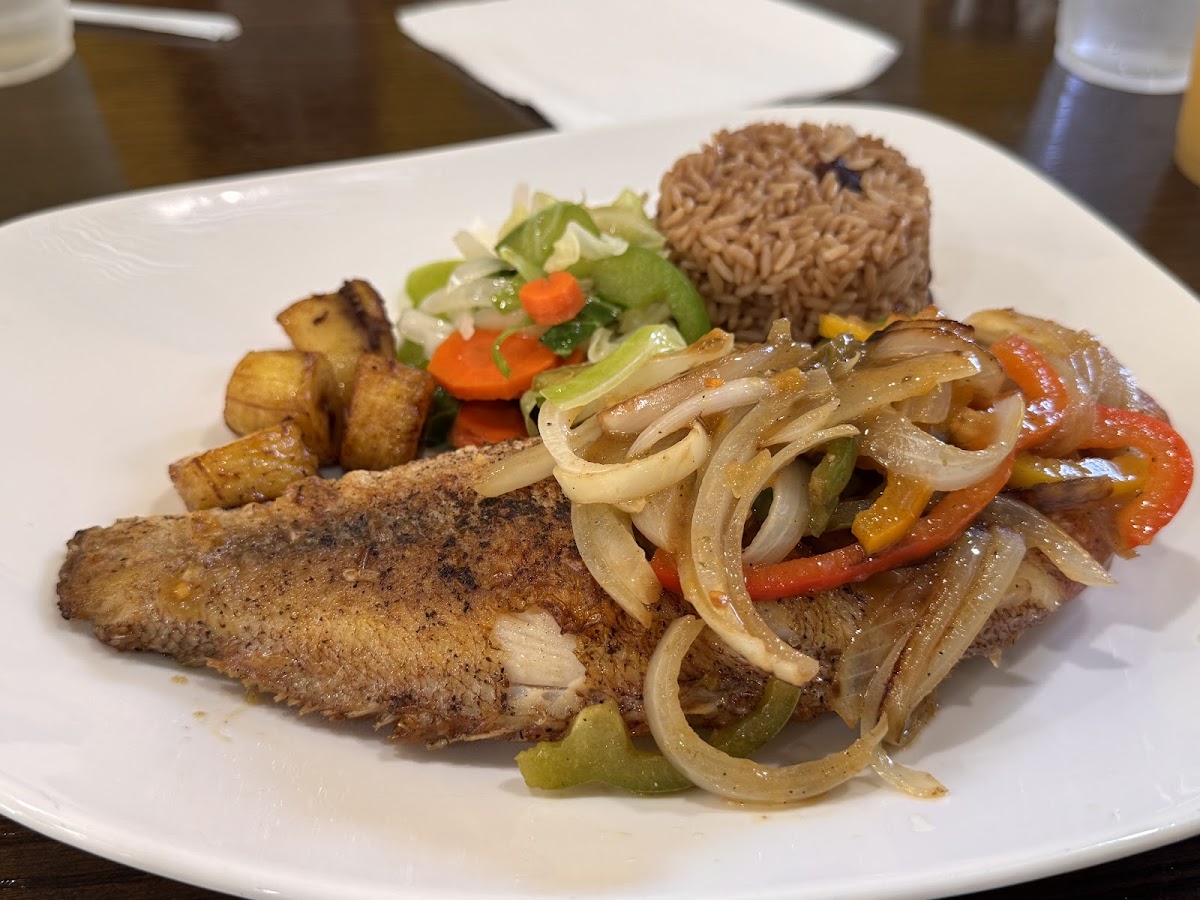 Tru Jamaica Restaurant Food Photo - Tru Jamaica Restaurant Jerk Joint in Waco, TX