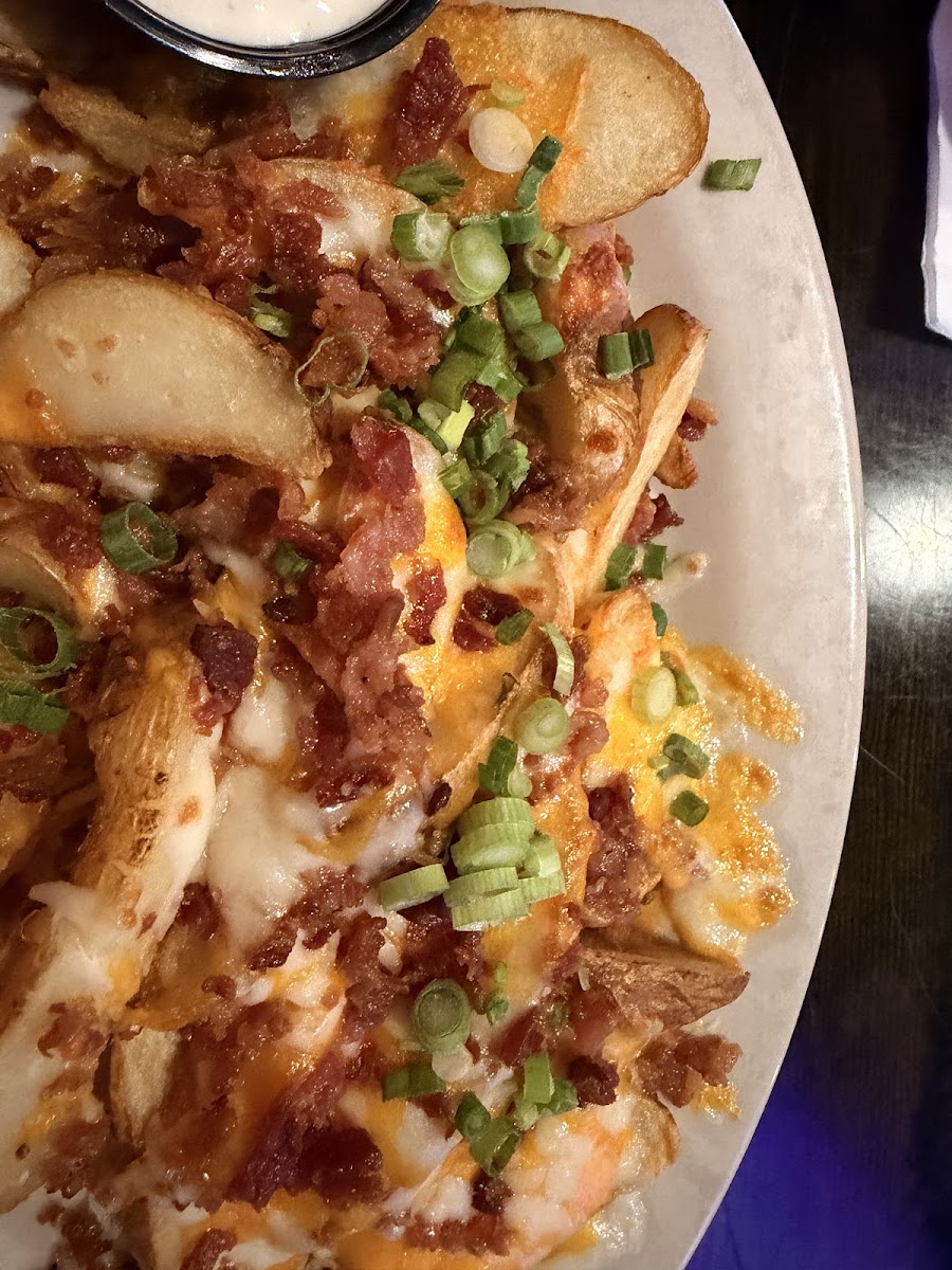 Wild Wing Cafe Food Photo - Wild Wing Cafe Chicken in Powell, TN